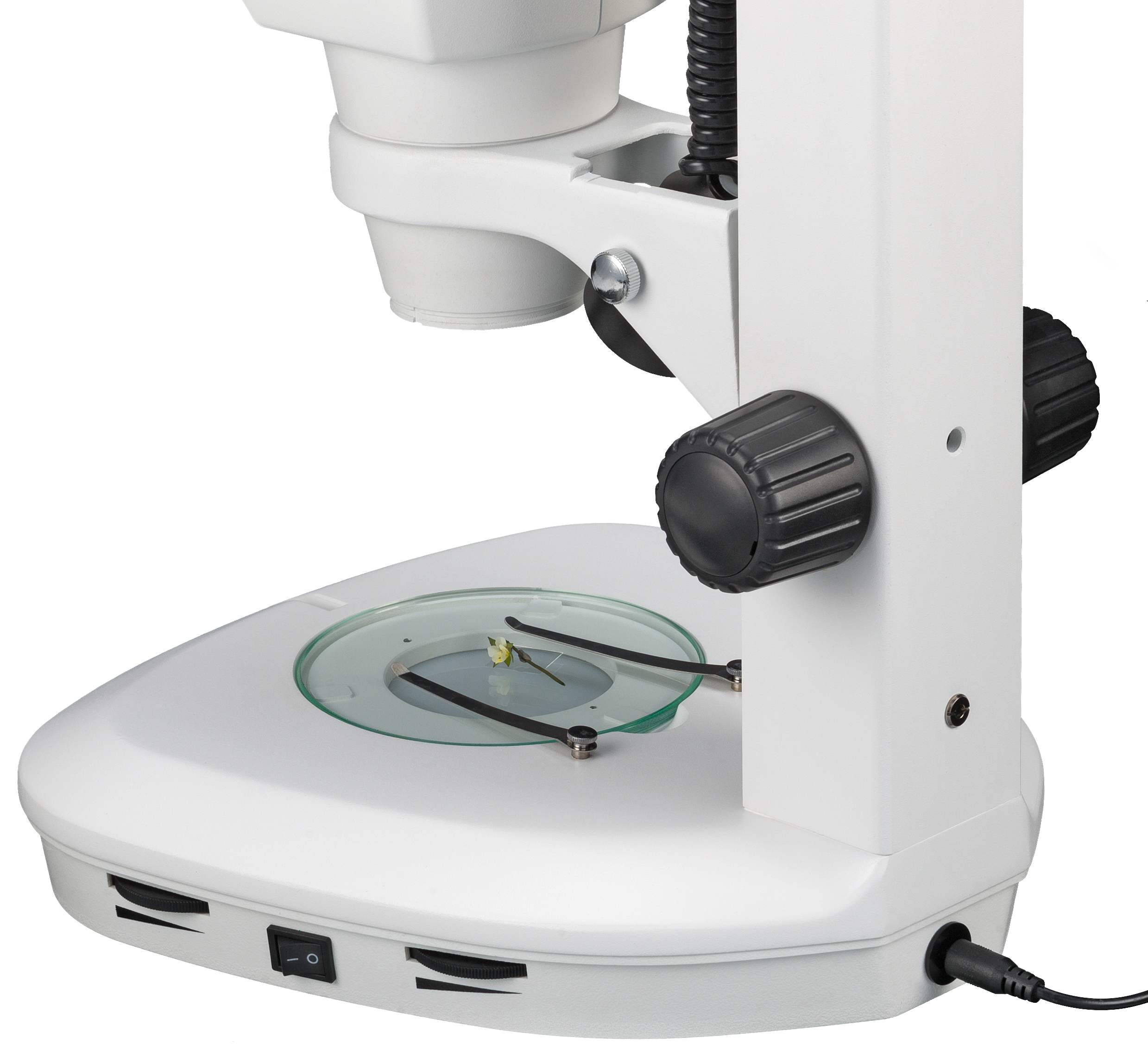 Microscopio estereoscópico Science ETD-201 Trino BRESSER