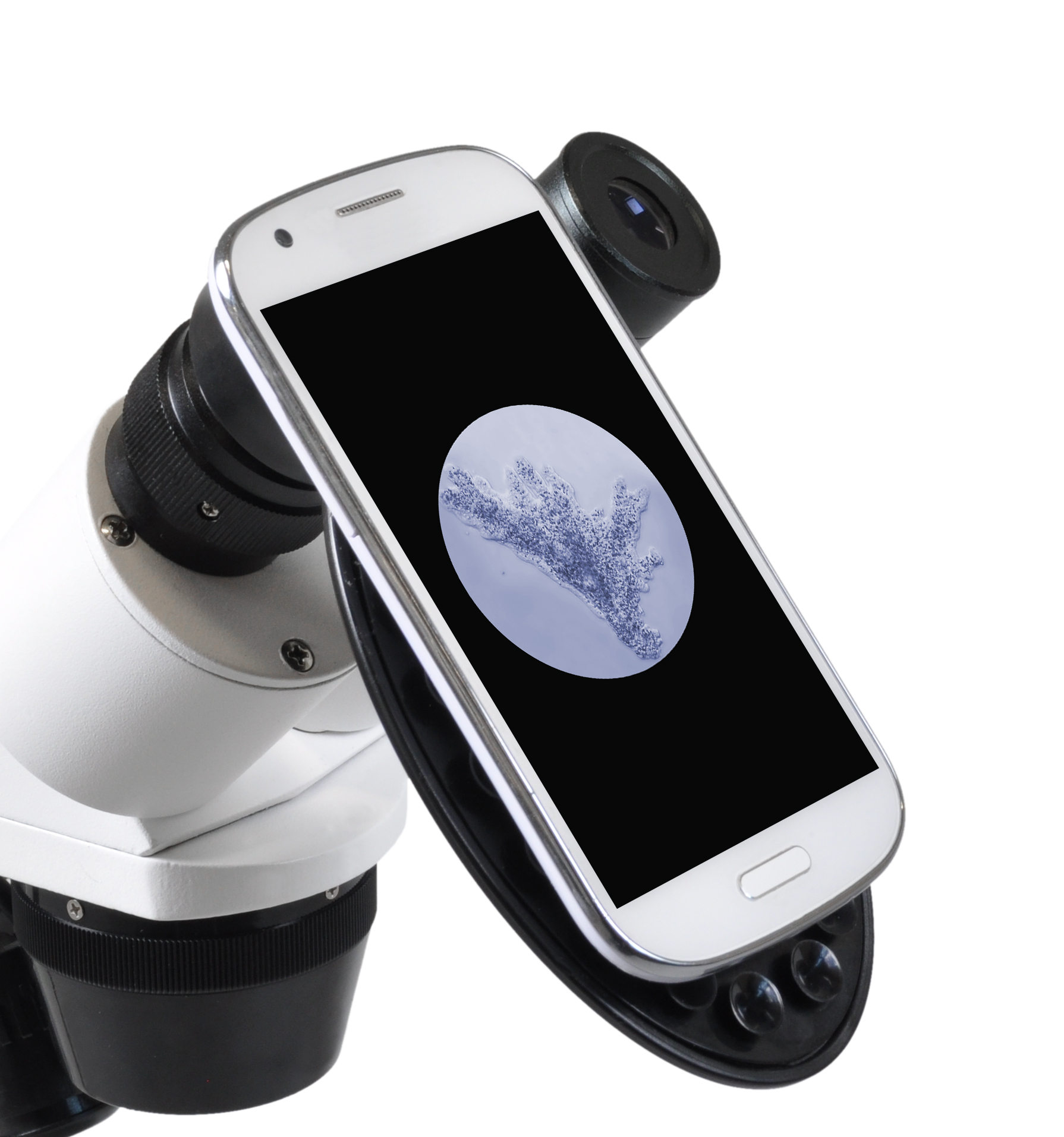 Microscopio estereoscópico  Erudit ICD (3D) BRESSER