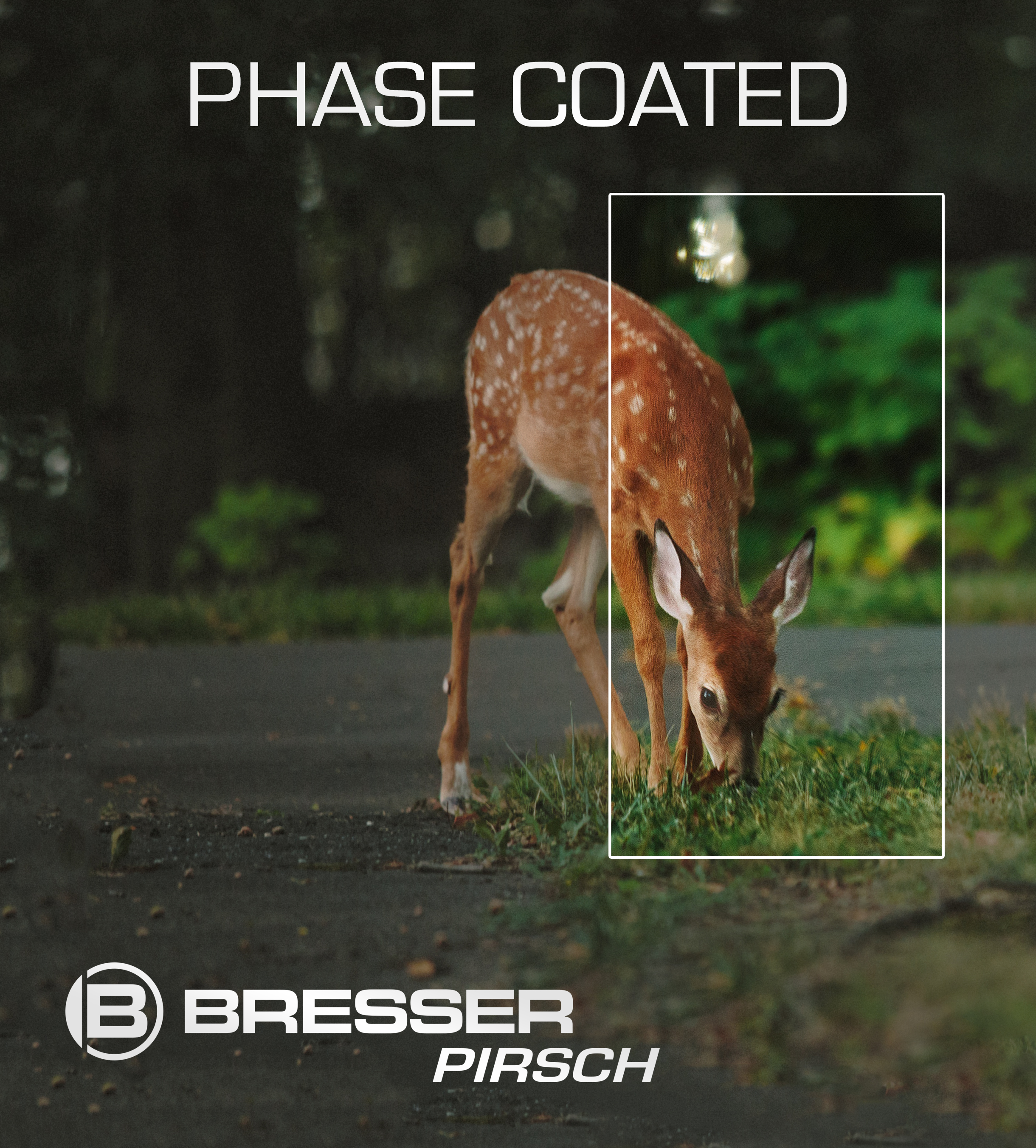 Prismáticos BRESSER Pirsch 10x34 con Revestimiento Corrector de Fase