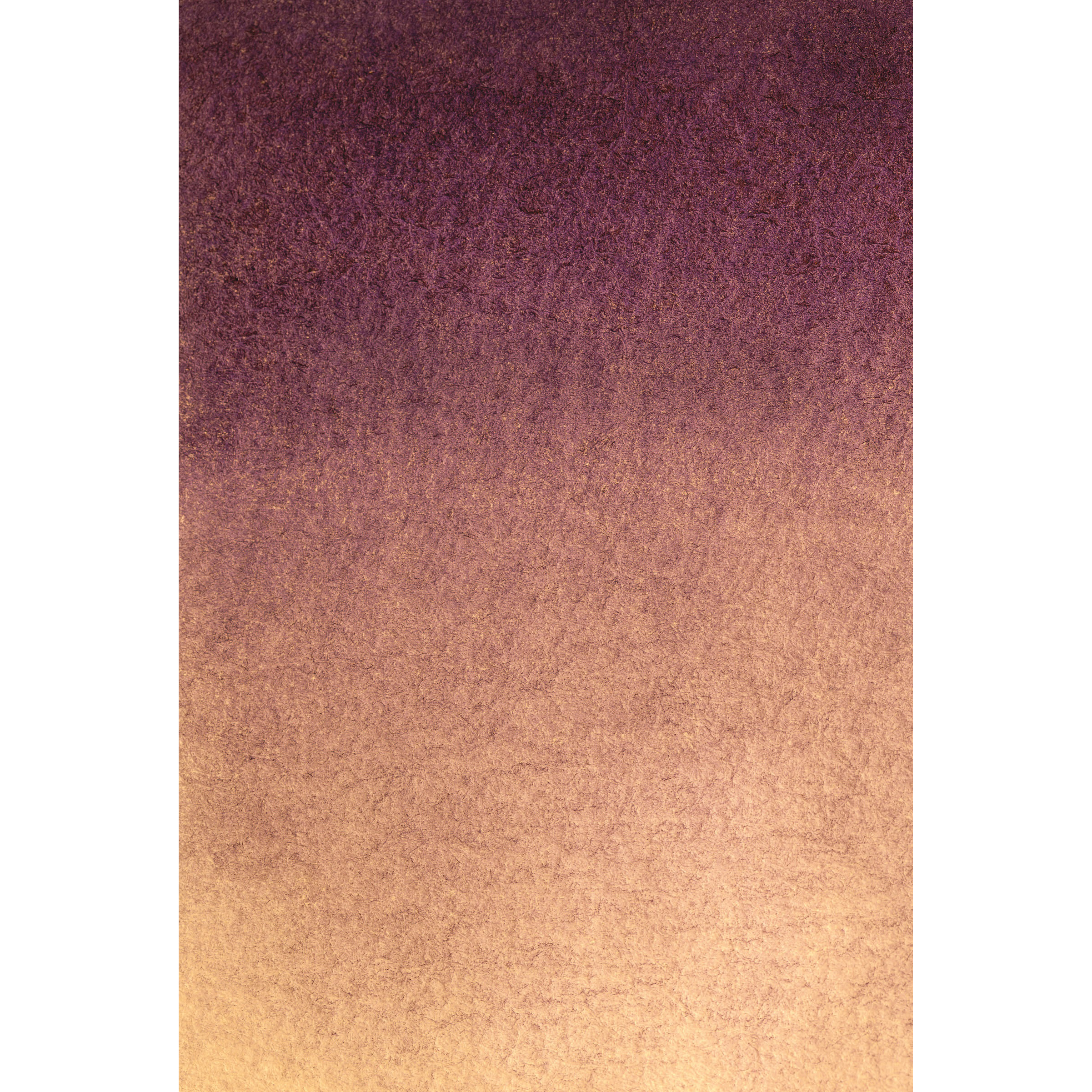 Fondo de Tela BRESSER con Estampado fotográfico 80 x 120 cm - Beige púrpura