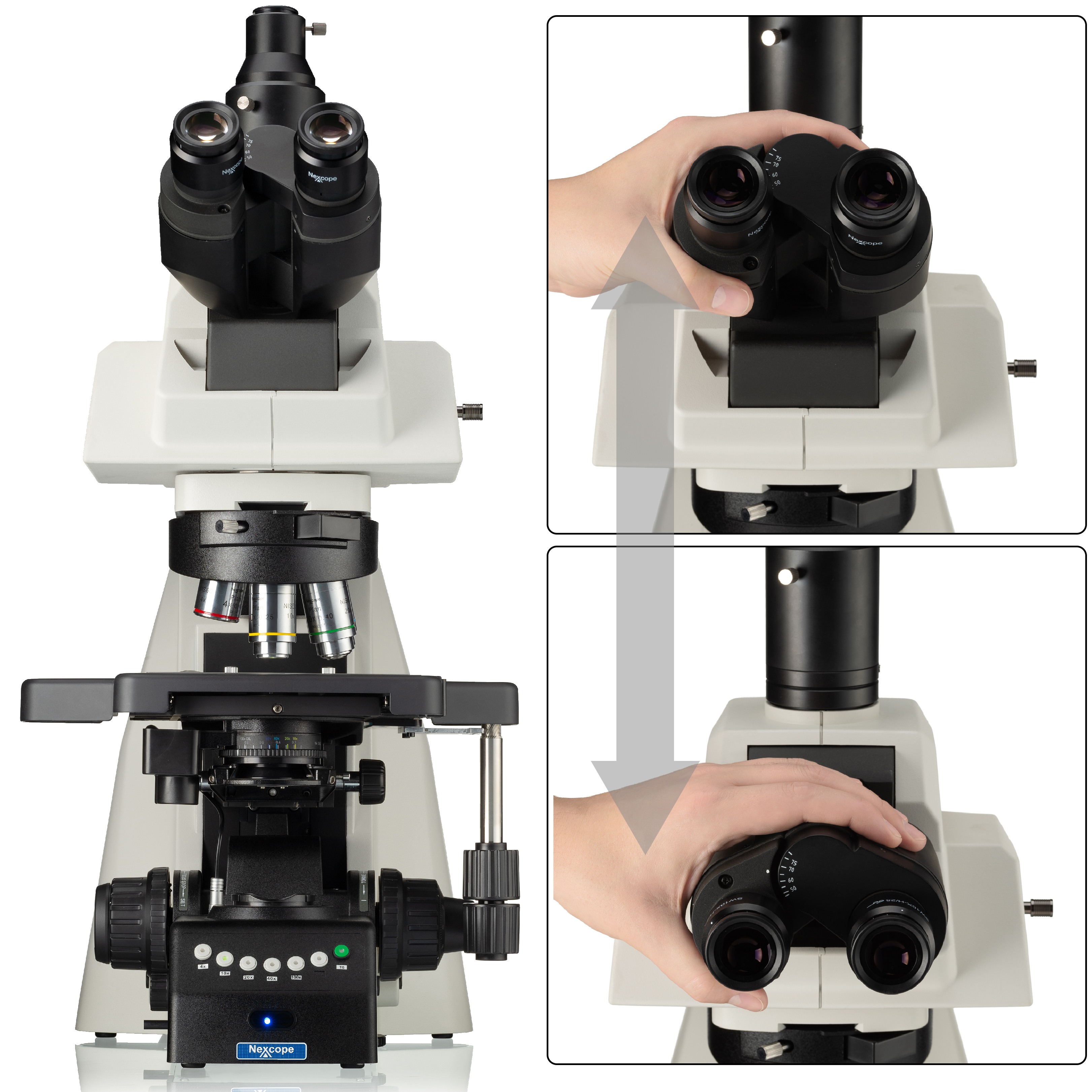 Microscopio profesional de laboratorio Nexcope NE930 con revólver de 6 objetivos motorizado
