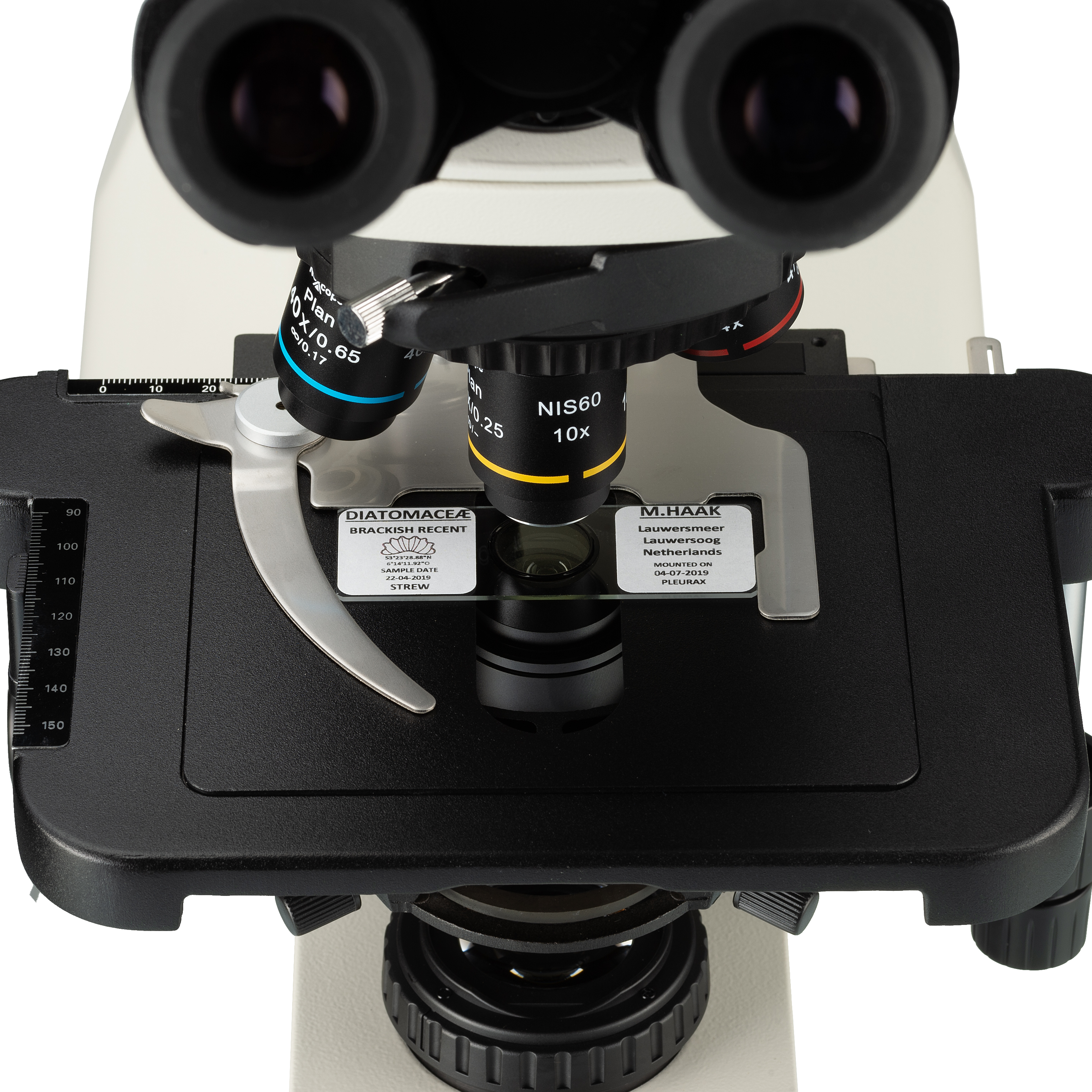 Microscopio biológico vertical Nexcope NE620T
