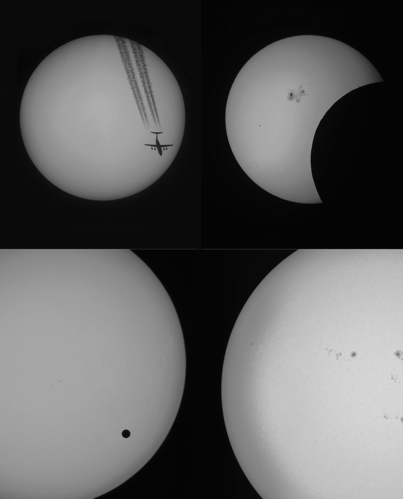 LUNT 8x32 Prismáticos solares SUNoculars de Luz blanca (rojo)