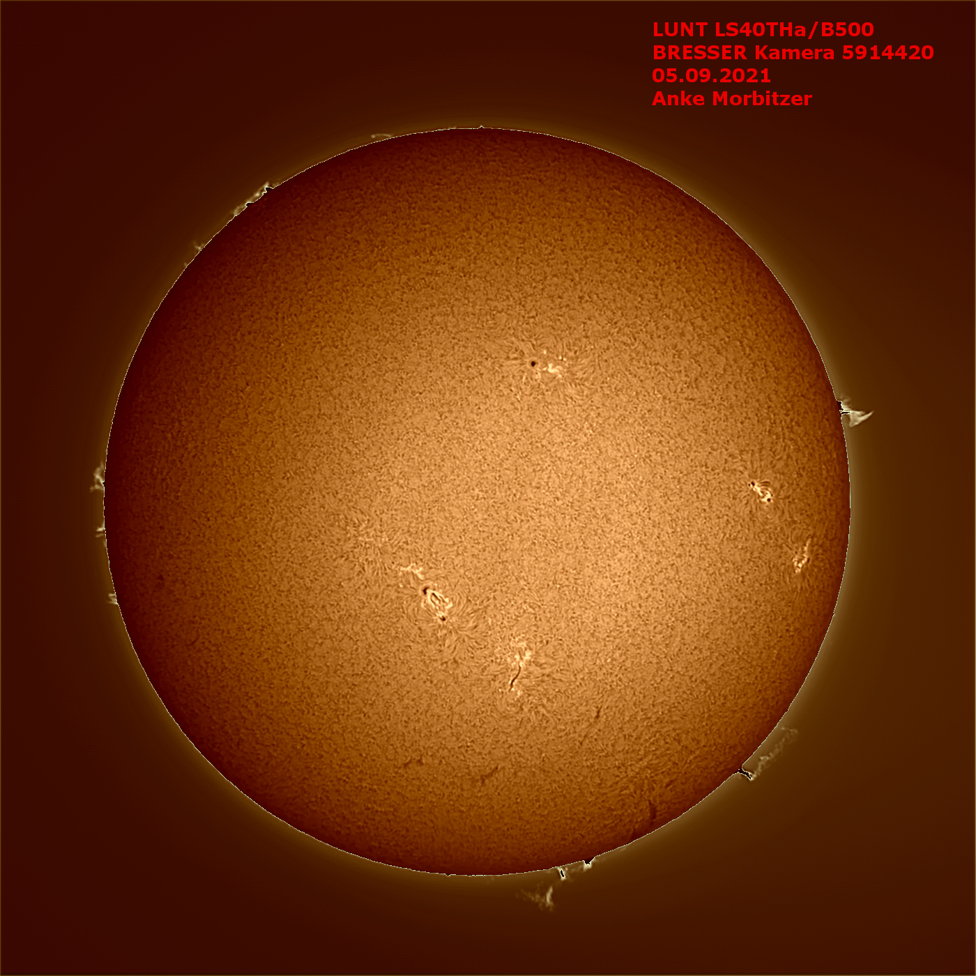 Telescopio solar LUNT LS40THa/B600 H-alfa