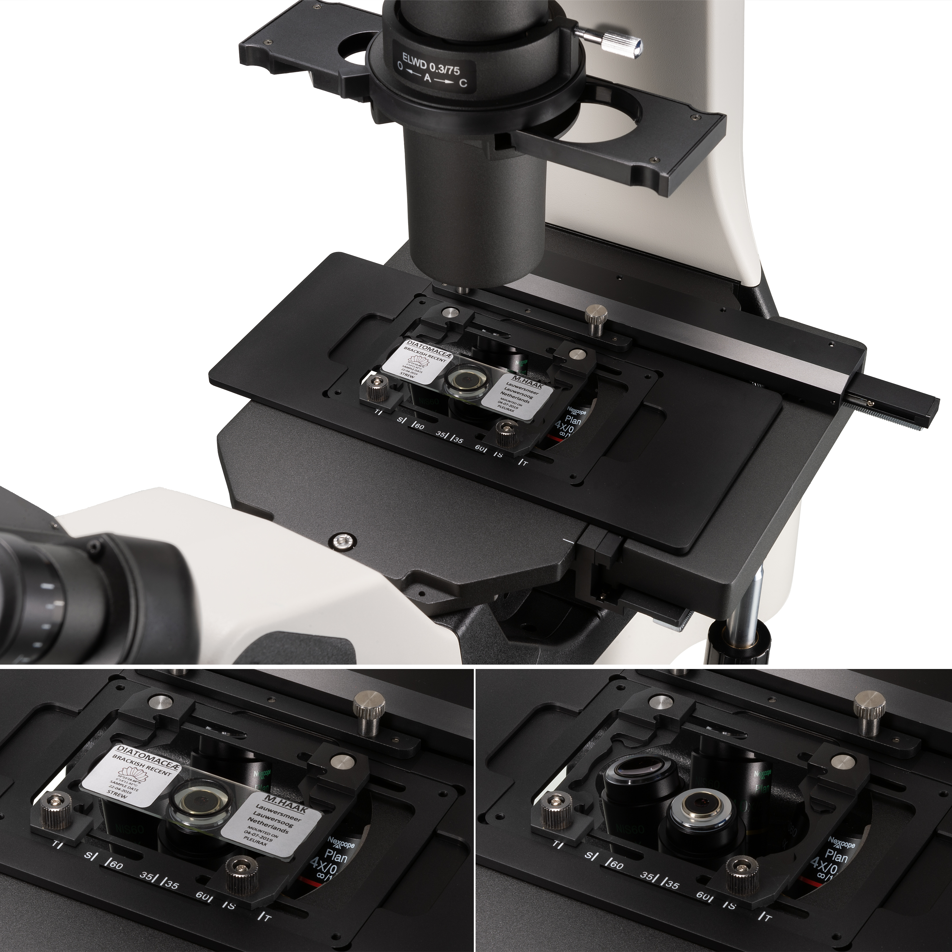 Nexcope NIB610 Microscopio de Laboratorio Invertido Profesional