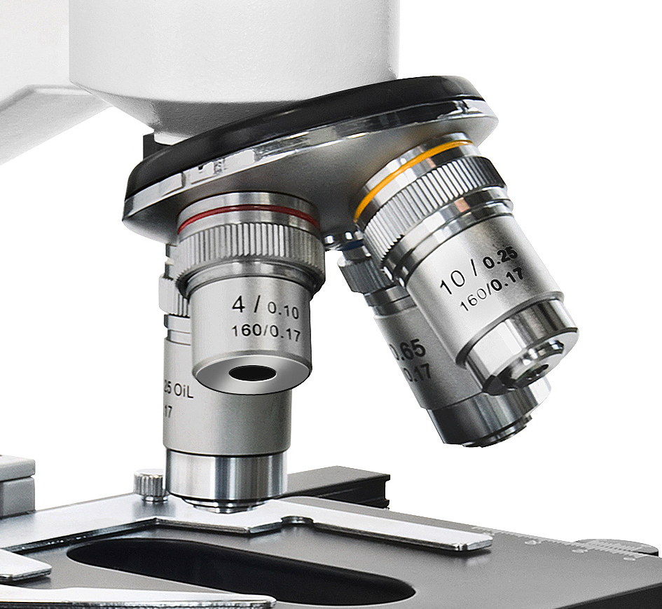 BRESSER Erudit DLX 40-600x Microscopio