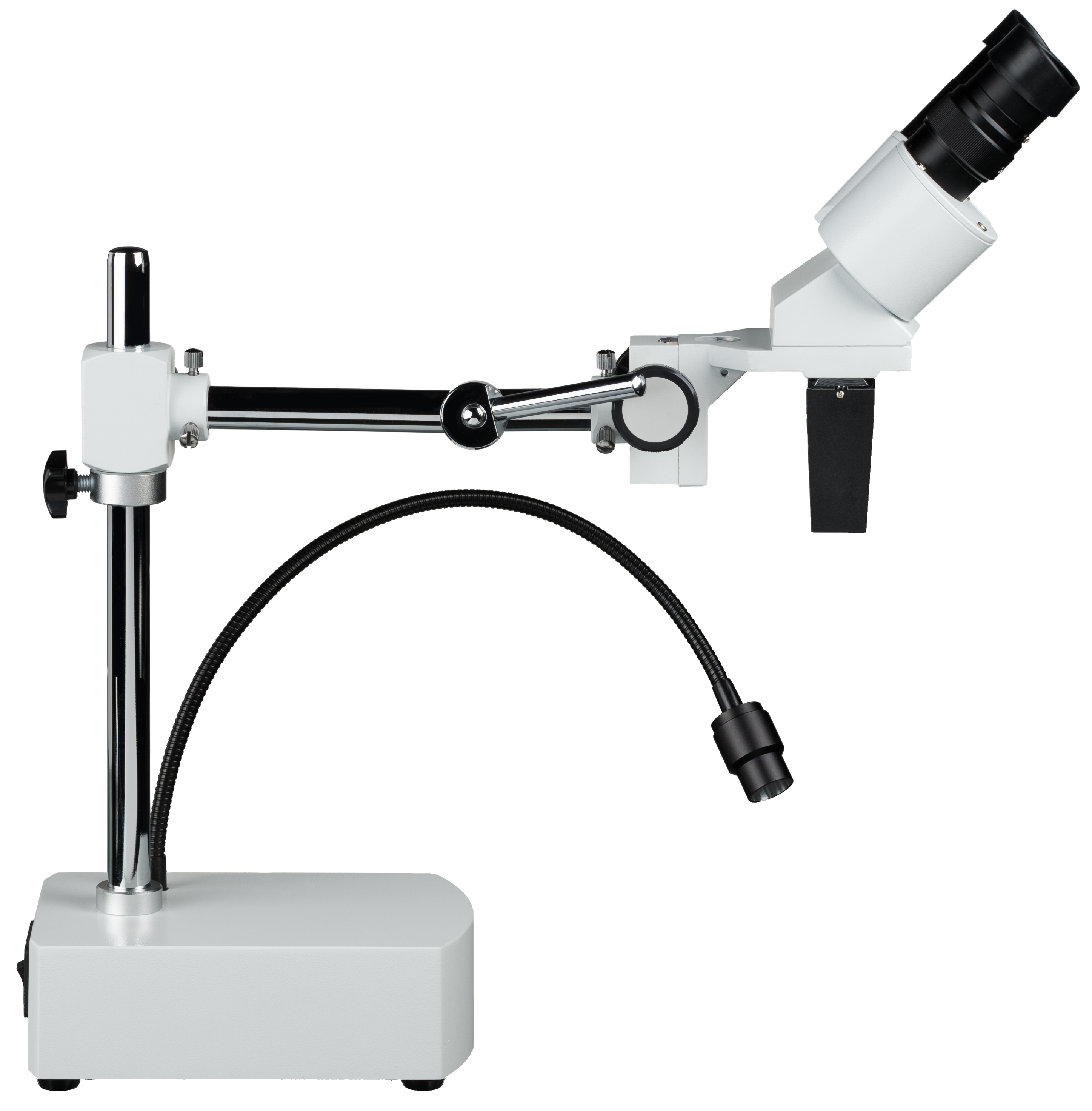 Microscopio estereoscópico Biorit ICD CS BRESSER