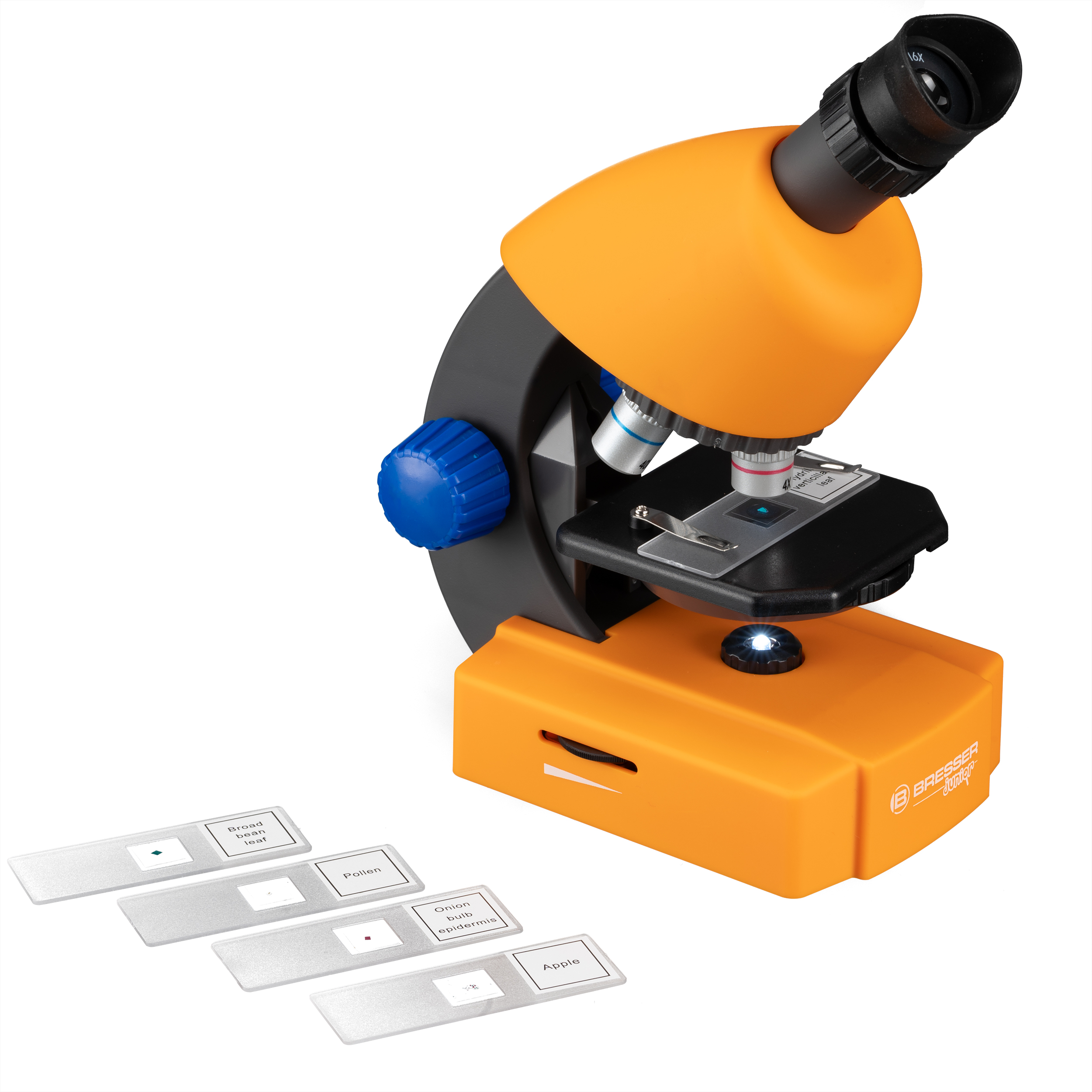 BRESSER JUNIOR Microscopio 40x-640x con complementos y maleta de transporte